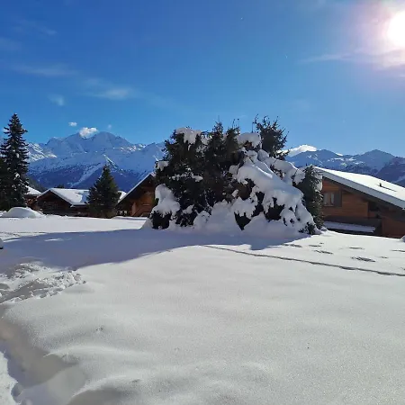 Baudrier A04 By Interhome Apartment Verbier