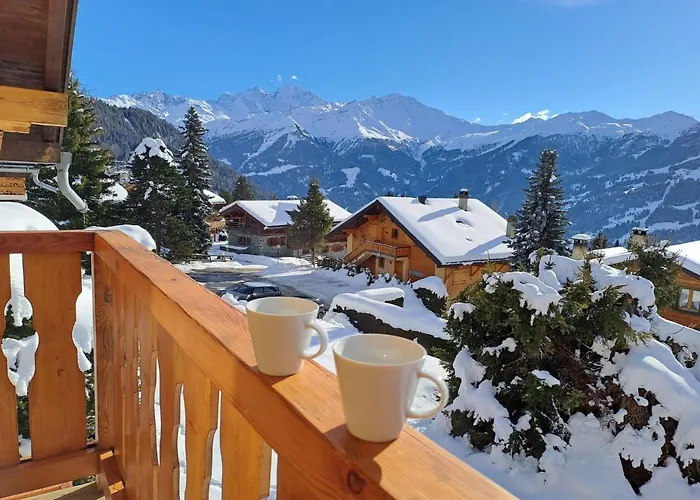 Baudrier A04 By Interhome * ヴェルビエール