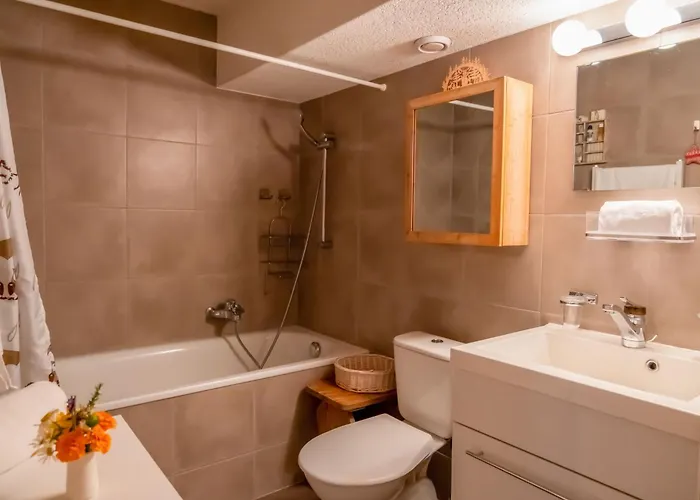 Baudrier A04 By Interhome アパート ヴェルビエール