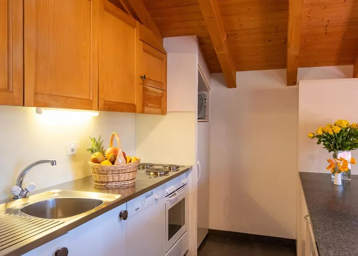 Baudrier A04 By Interhome ヴェルビエール