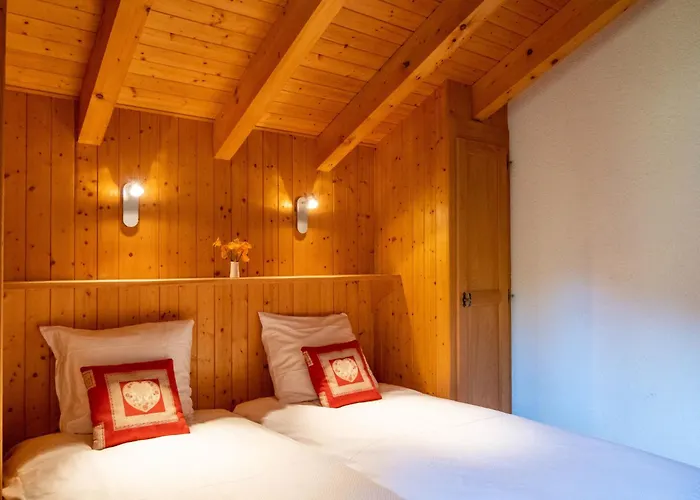 Baudrier A04 By Interhome * ヴェルビエール