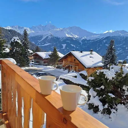 Baudrier A28 * Verbier
